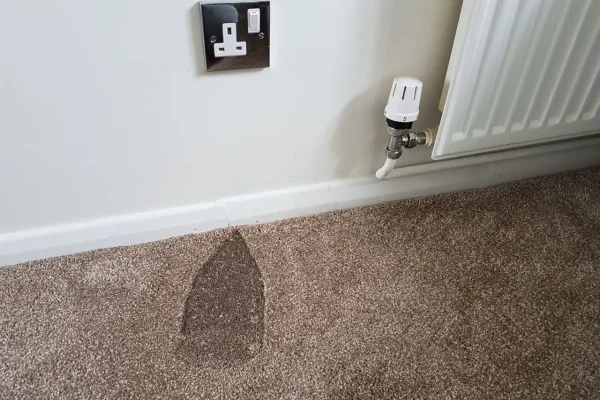 Carpet Burn Repair