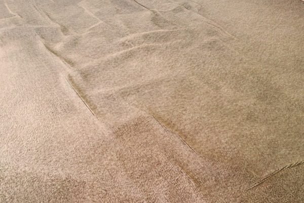 Carpet Wrinkle Repair
