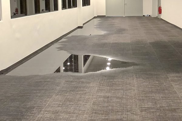 Water Damaged Carpet